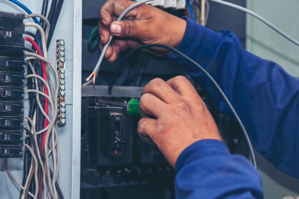 Best Electric Panel Repair  in Mckeesport, PA